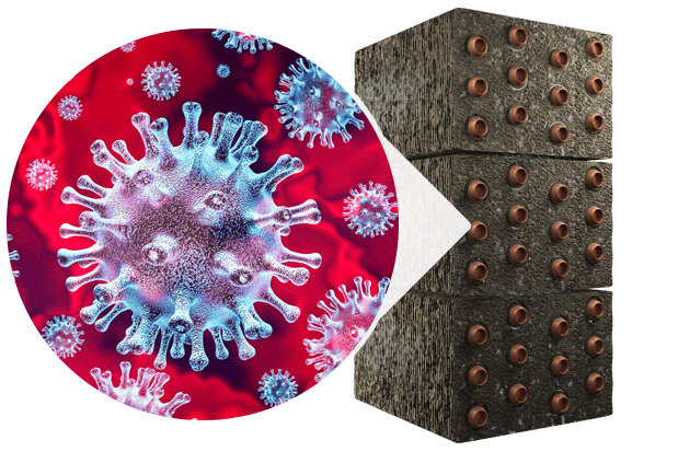 Covid Biofilm